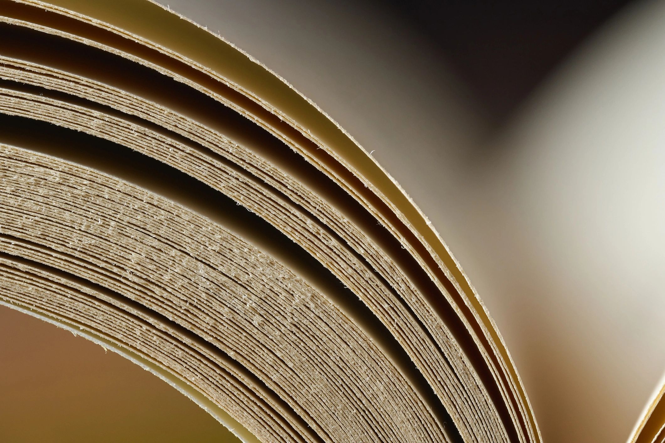 Abstract macro of curved book pages